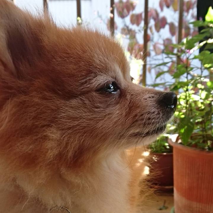 A2b58b9f 8dad 4f7b a40c 8cf85a7e6744 1507901885614