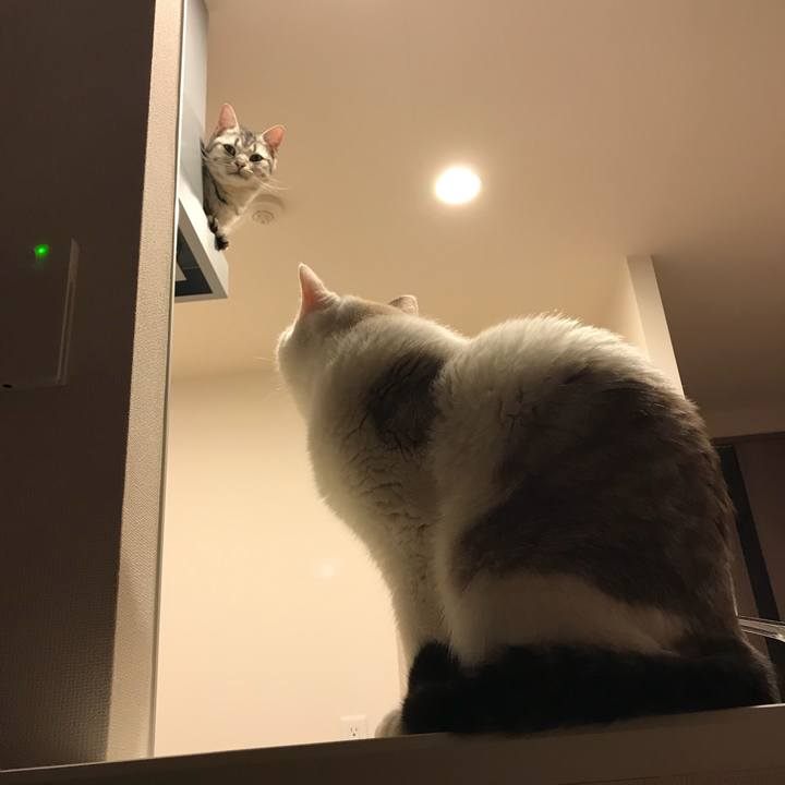 A2b5a9ca da13 4f3c 8430 c8b85b319544 1514196522836