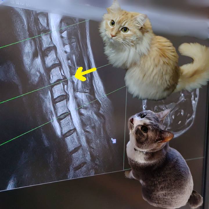 A2b5dd0c f822 4f4f 8602 056db5e30dea 1714092105022