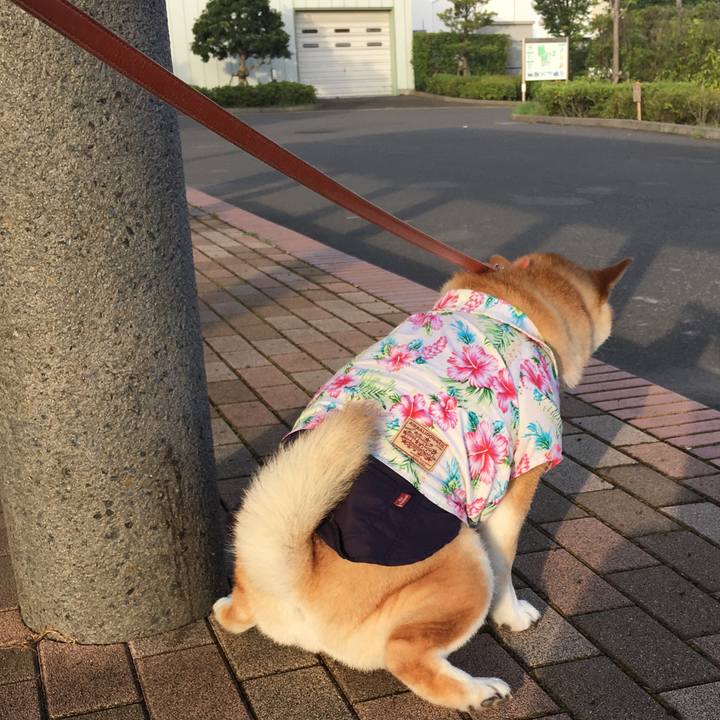 A2b5e1e2 b796 4c40 8ad4 c44fc7c4a89b 1566339810171