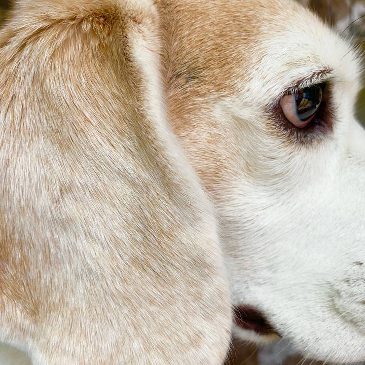 A2b6418c 07ed 46e8 baca aea74f420766 1589956456438