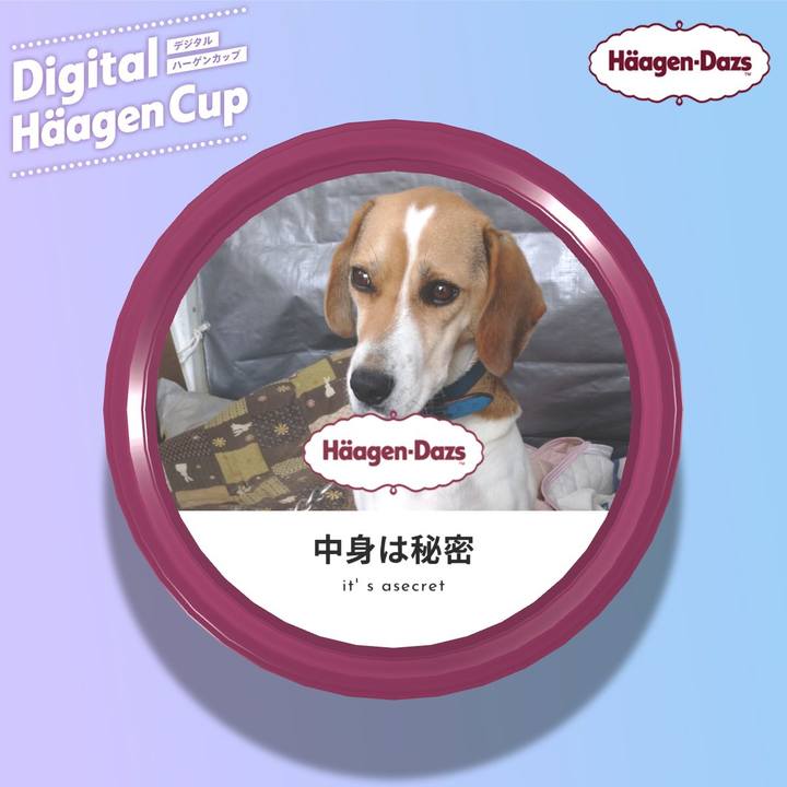 A2b68325 5a8e 4923 932c 813b9d9c5675 1607494962749