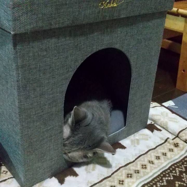 A2b69037 f7b2 4c25 9134 ba6f449d129f 1667309736269