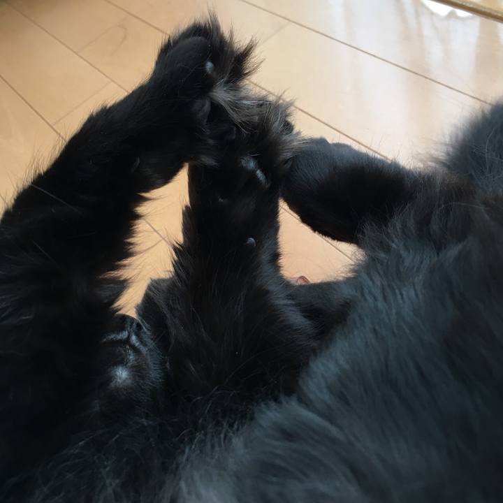 A2b69d1c 89fd 4eea a7df 8074b6c9787f 1550748234546