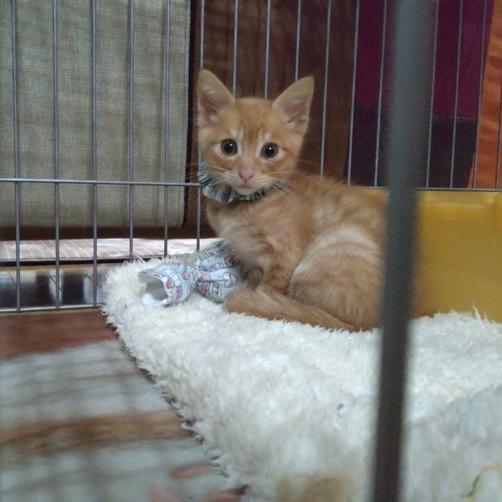 A2b69d37 88bf 4933 a560 9e5bbfdb2d6d 1669442766015