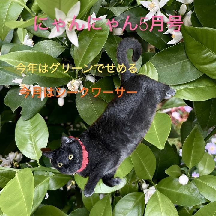 A2b6a291 97d0 4110 9af8 ff5f5f51af90 1778021660014