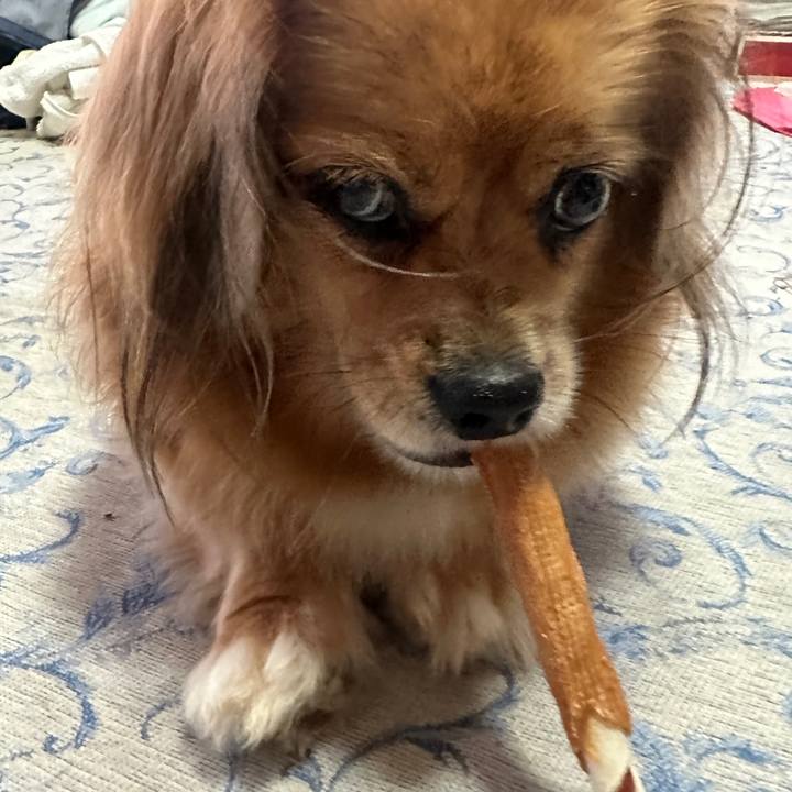 A2b6c0f8 501e 4eb6 ac69 66180efe7f96 1694379769320