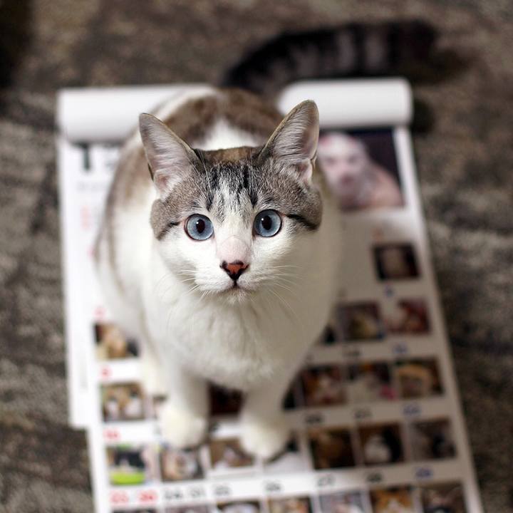 A2b6c12a dc32 4eba 8ab1 2816d5c40588 1645320235780