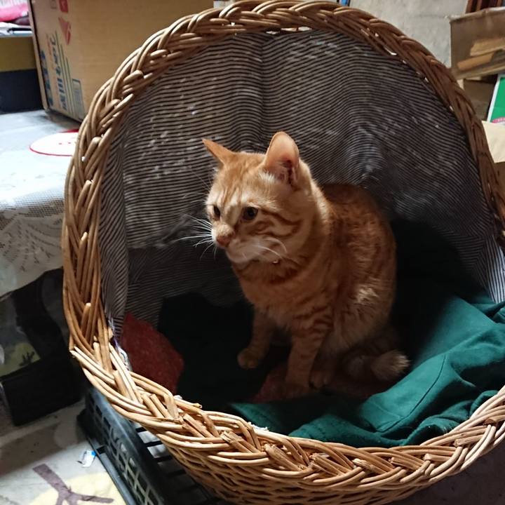 A2b6d546 adef 4b0e ab7a 40f5c50eeb59 1642540606110