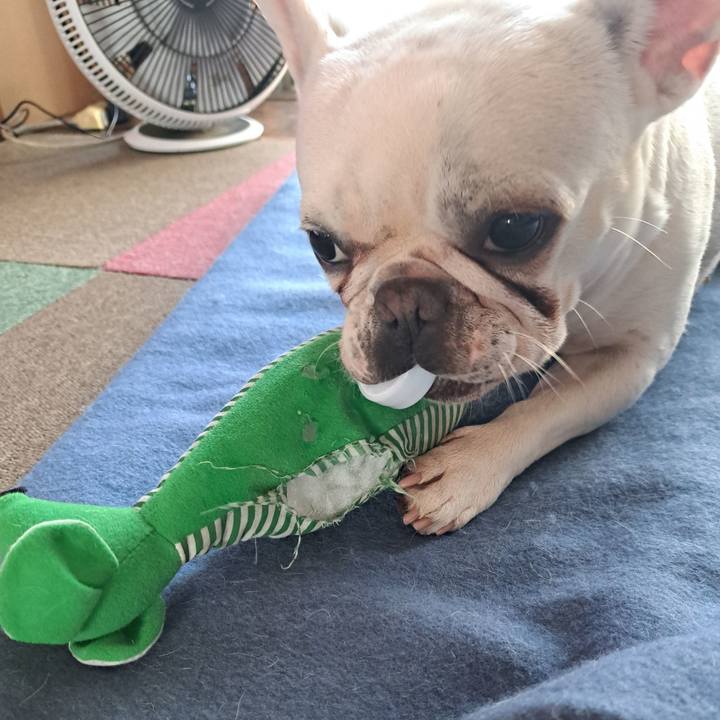 A2b6ddcc a707 4e34 a735 5dd4e6e95b87 1697756076726