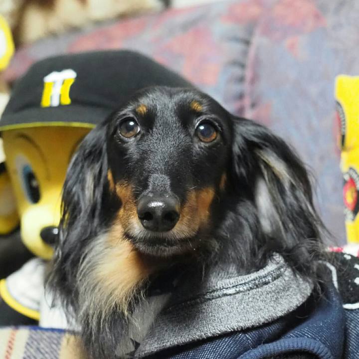 A2b6f11c 2ea1 449f b981 ae95457ad936 1585743053189