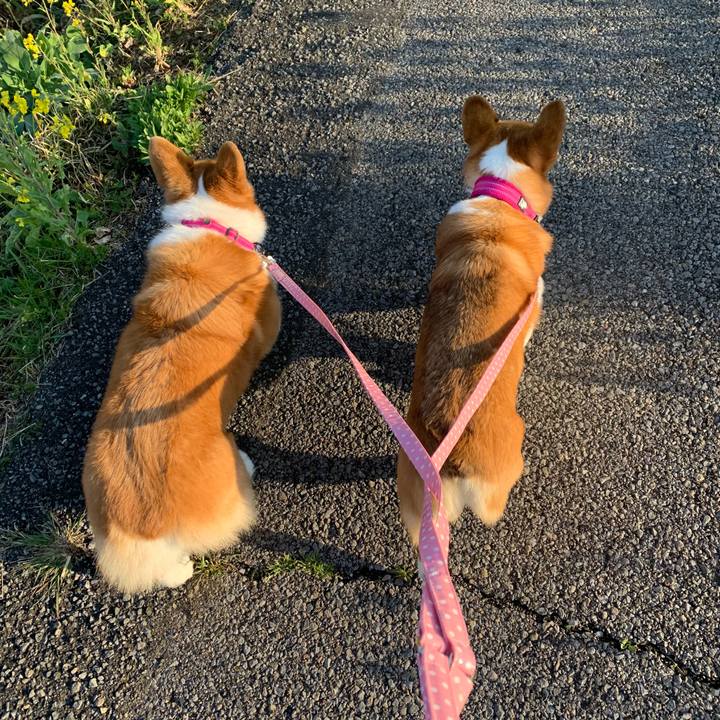 A2b6f3d7 062b 47a8 aa05 e78b270b0d75 1616541661414