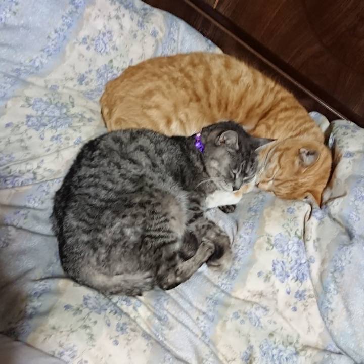 A2b72017 06c4 4b8b 89a0 49977c2e6c20 1583064601248