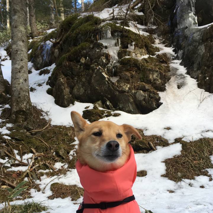 A2b759ef f4cd 4bdb 9f8b eca45fe40941 1550053981061