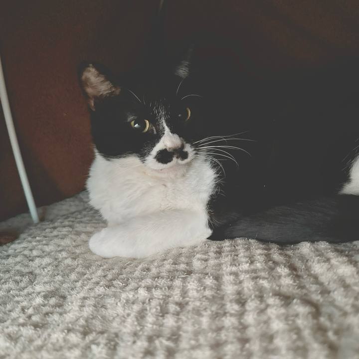 A2b7895f 755d 4fbe bc20 780b32a11891 1735171322725