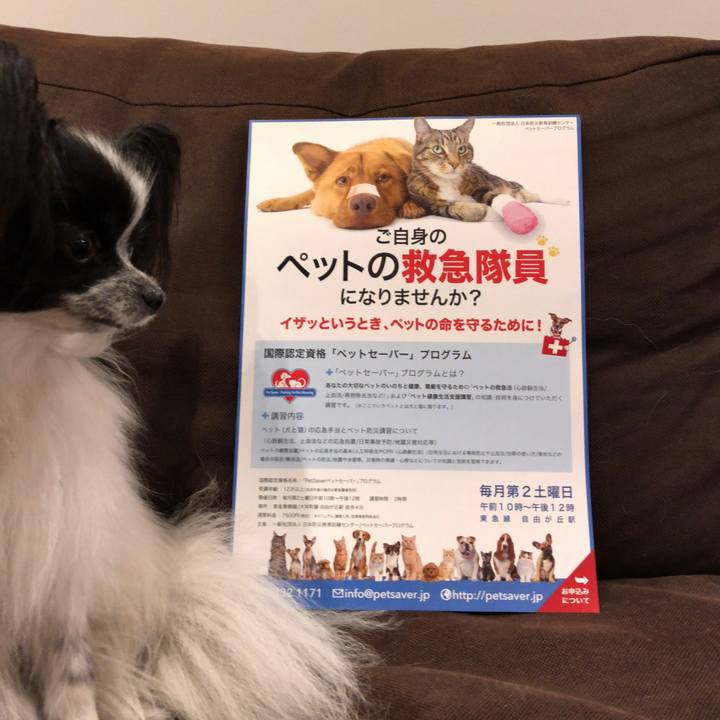 A2b78c14 f6d7 40f9 b50f 981ed5a066ae 1538222313628