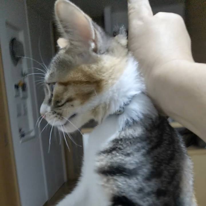 A2b7c601 4324 47d4 b896 4b5cbab4d638 1628472275165