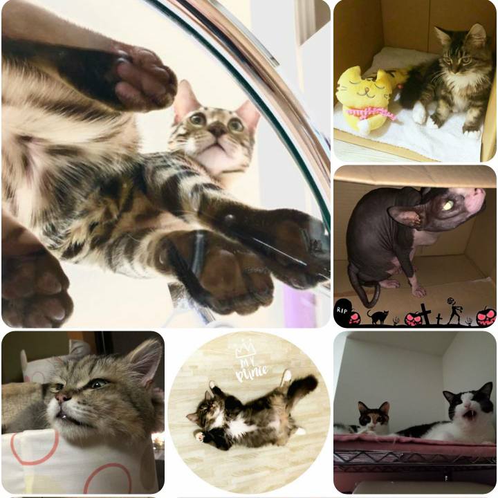 A2b7dfdb ba96 40e0 ae4c 7160a97c85c5 1567502028409