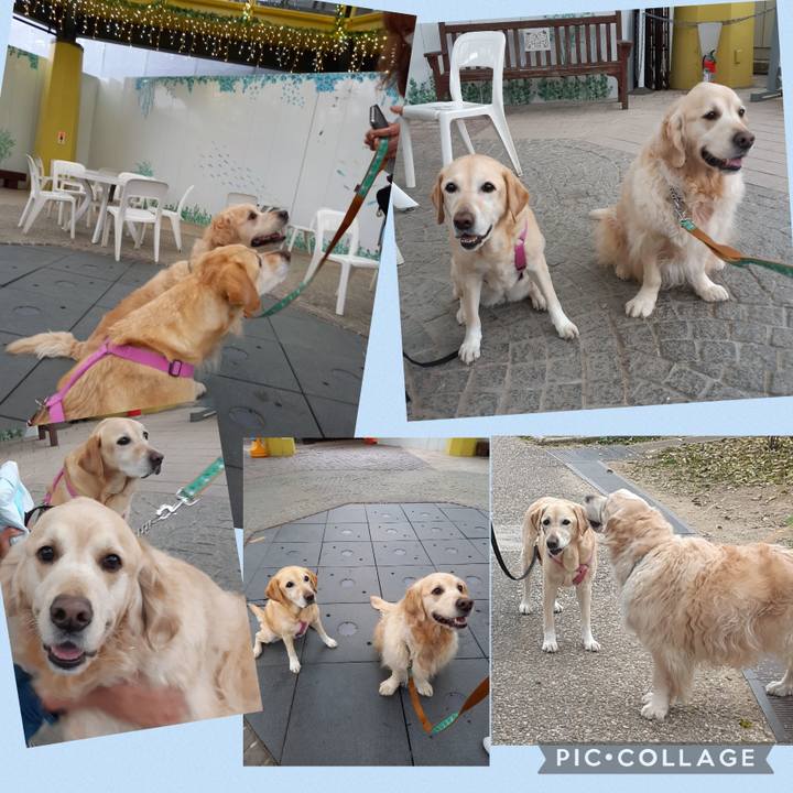 A2b7ebe7 4b57 4ade 929b 8a37b41652e2 1678882388500