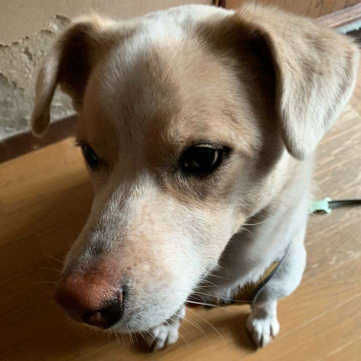 A2b823f2 f5e8 42eb 8c31 6c8845e68108 1576109934599