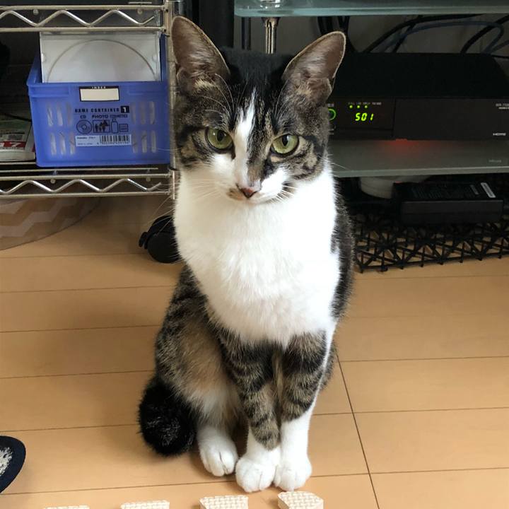 A2b83dc8 27fe 4a2a b43a 21f7d7e46f27 1529163024924