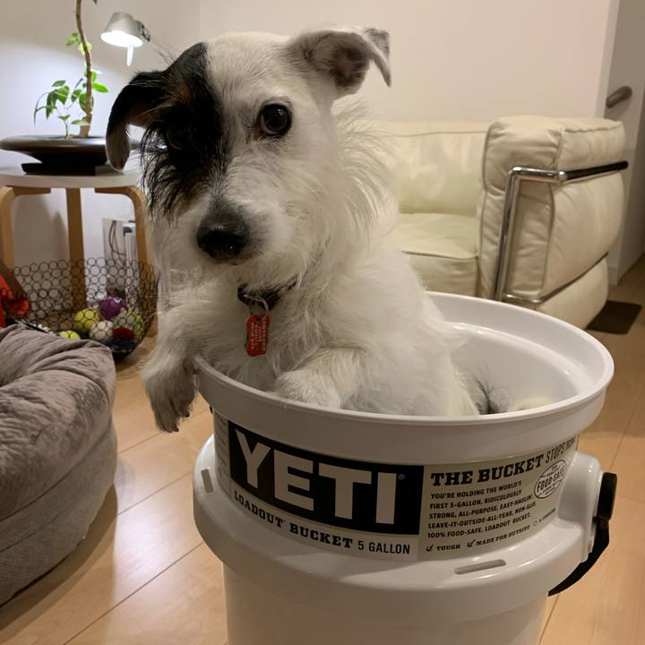 A2b84005 3779 4442 9b4d 4bdec4e412a3 1590065262158