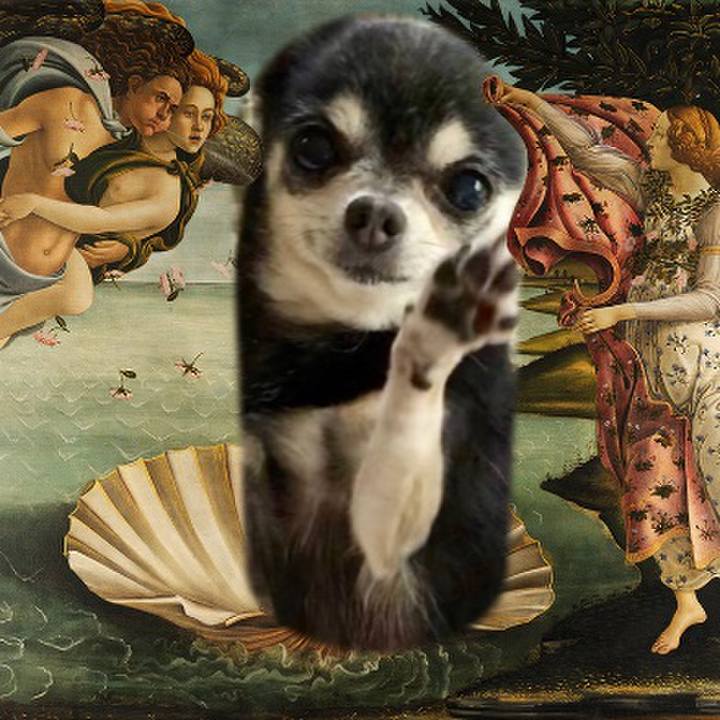 A2b851e4 7ed6 4356 87f3 4fcea80de5d7 1635956414819