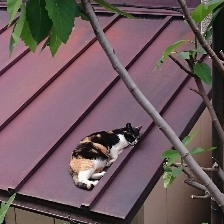 A2b85355 b823 4a20 86e4 654bf543c9b1 1525065037675