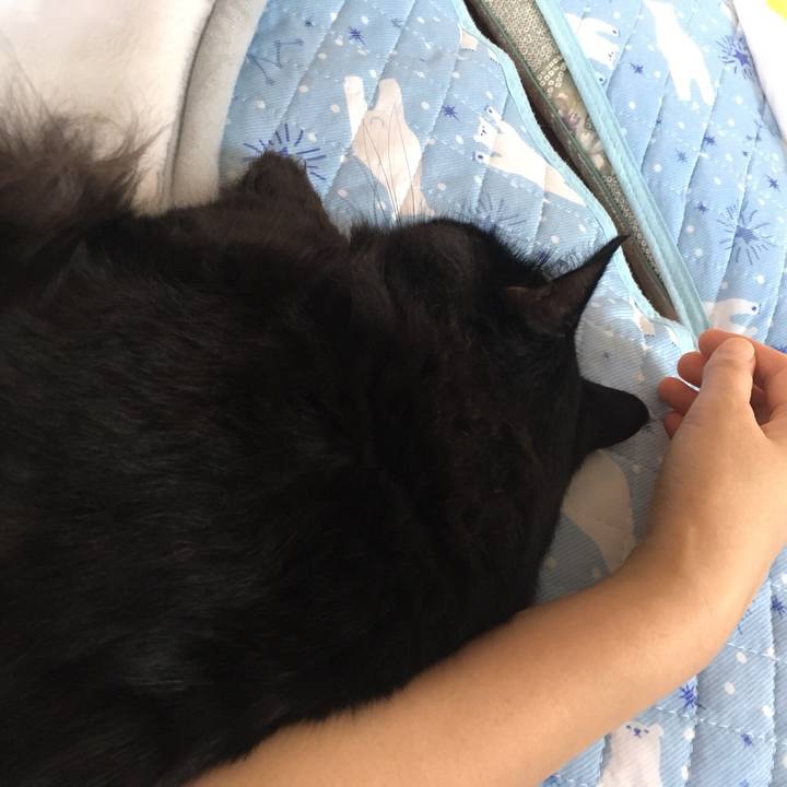 A2b8ab2d 676f 4612 a3a2 d6fccb2d0bd8 1561957157575