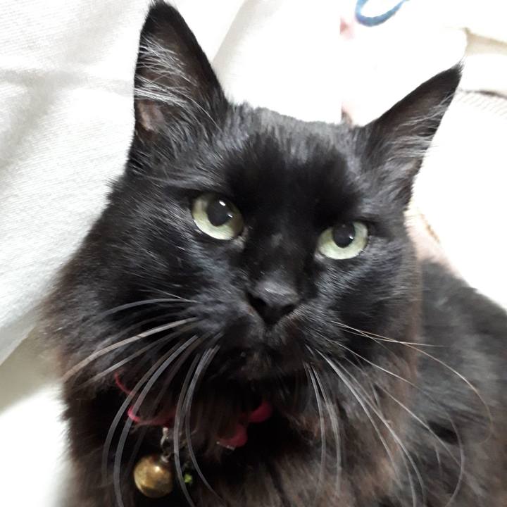 A2b8bb32 d71d 4e1d b948 5290e89df6bd 1543389399781