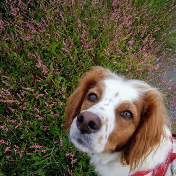 A2b9021e 37da 42b3 b6f4 9c152c989bf6 1539133046695