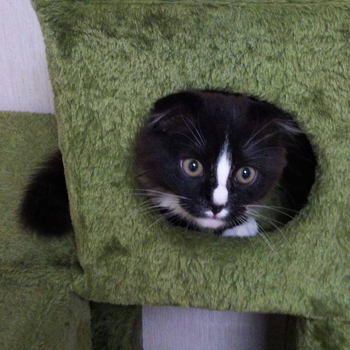 A2b92cbd ed5d 40ff 95f4 78622adc41ab 1641469693999