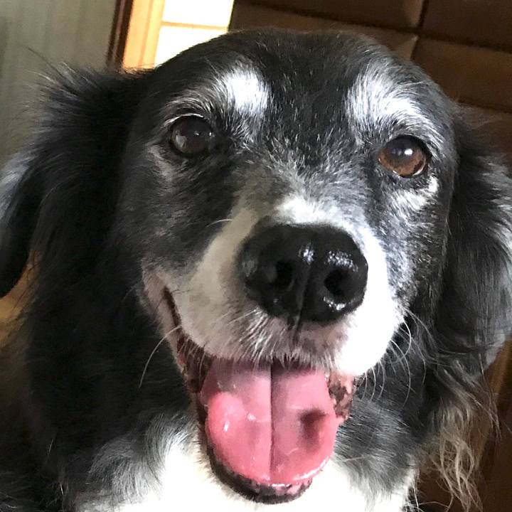 A2b930c2 7278 4f34 9aec 7066bcf4c1e6 1535548432464