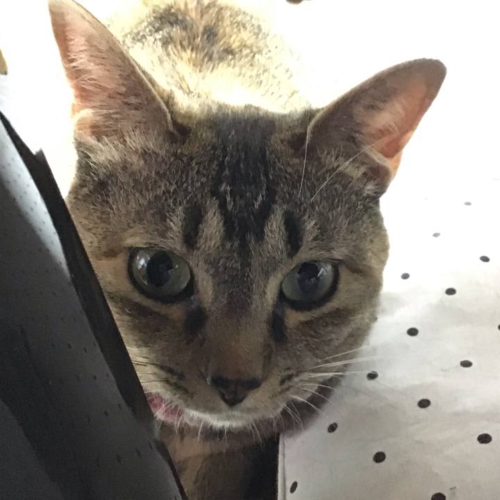 A2b9abc7 e5f1 4983 a9c2 2f76d614b90a 1624443633252