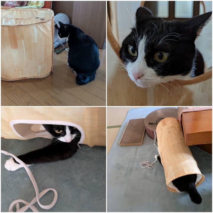 A2b9bb95 5602 441a a93a aea788868554 1746590328167