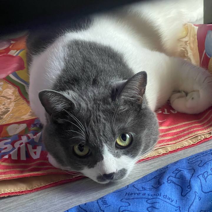 A2b9c247 ab92 46cd b0ac 947becbfc673 1753424603664