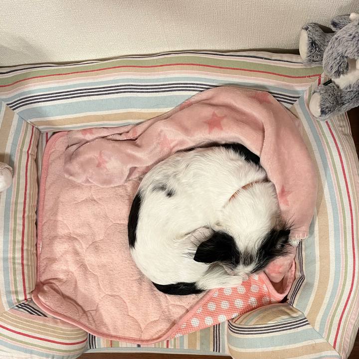 A2b9f337 3f15 4f11 b03a d42387b455a7 1698101346893