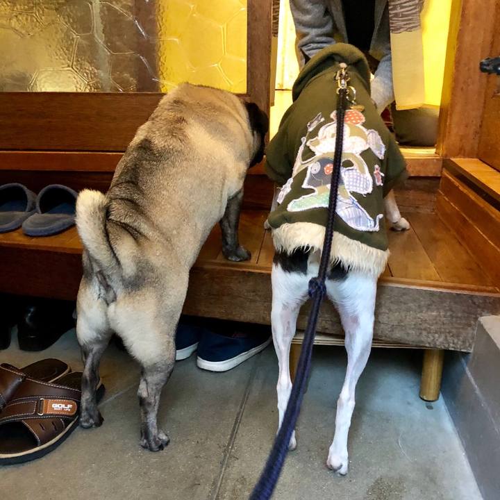 A2ba06d0 571d 4943 9ab9 8d2201c27d2b 1513209542998