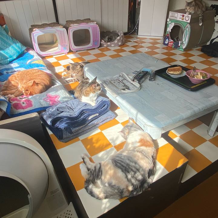 A2ba0a39 6f26 4b6f b60d 76e0eb126b36 1697849309948