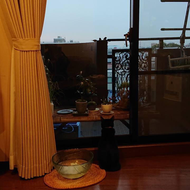 A2ba3718 7a7e 4ce0 9e41 19925ab618f6 1545775466916