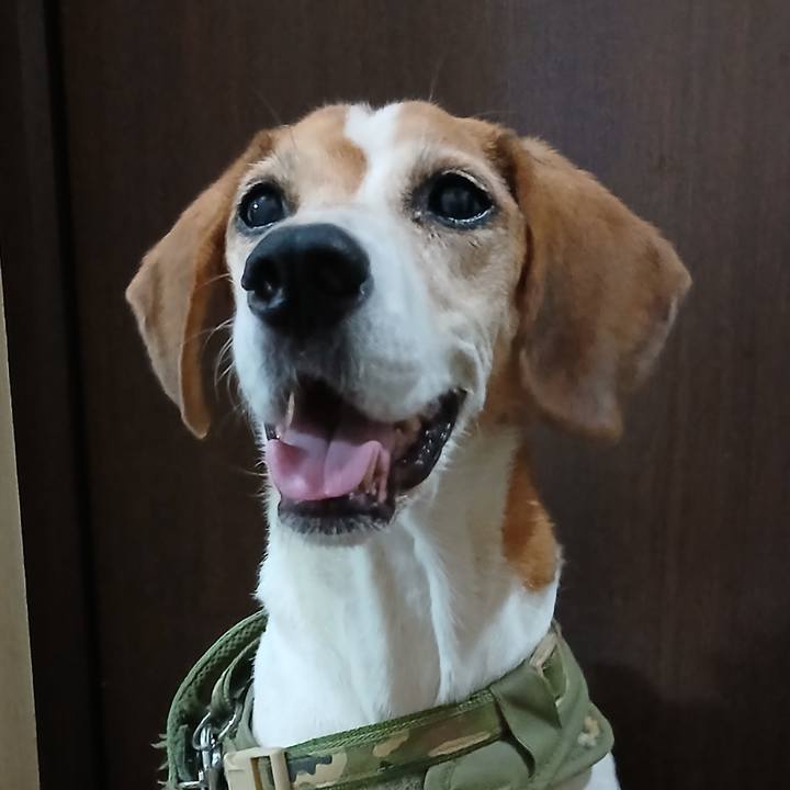 A2ba8b9c eba9 4512 b9c5 279f385099dd 1757841185786