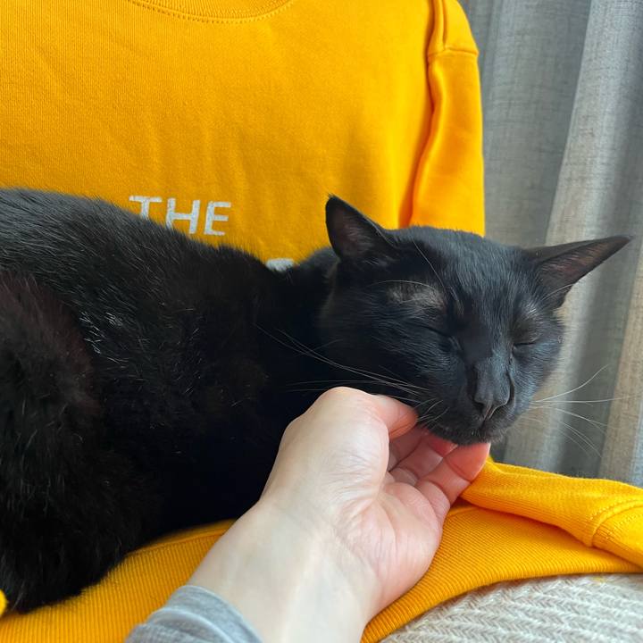 A2ba97ac 5ffa 4163 9310 d20102927ab3 1679880749542