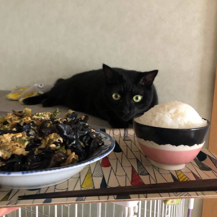 A2ba9d87 80cb 40fa a617 83df4c15e3dd 1564888934280