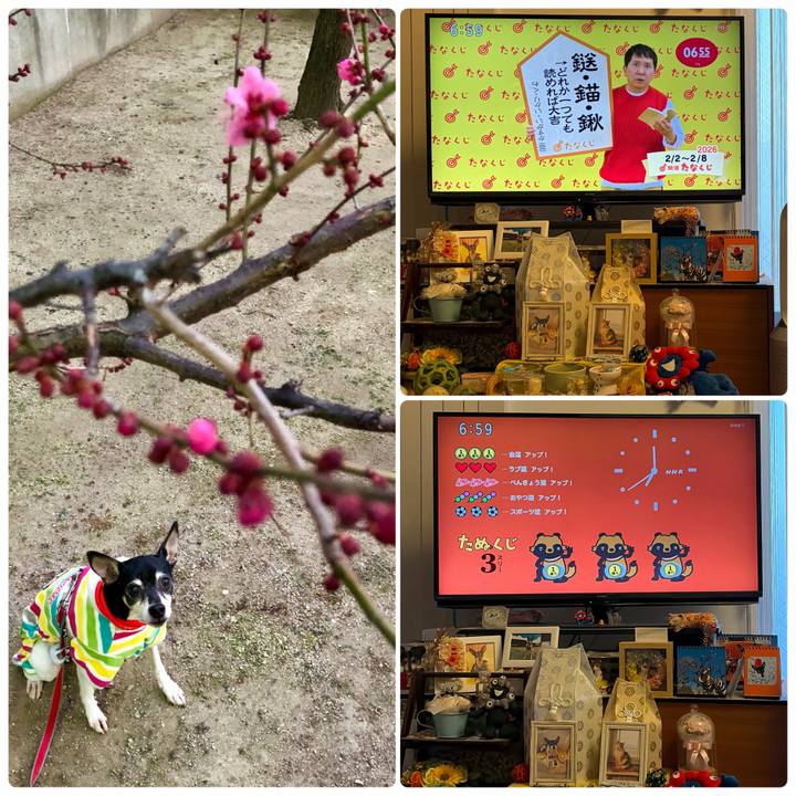 A2baa535 6b94 45a4 9d59 8e5b2337d90b 1769984082058