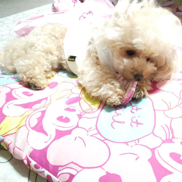 A2bacd1f 31f2 4d62 bdf1 6427fb546516 1567135730053