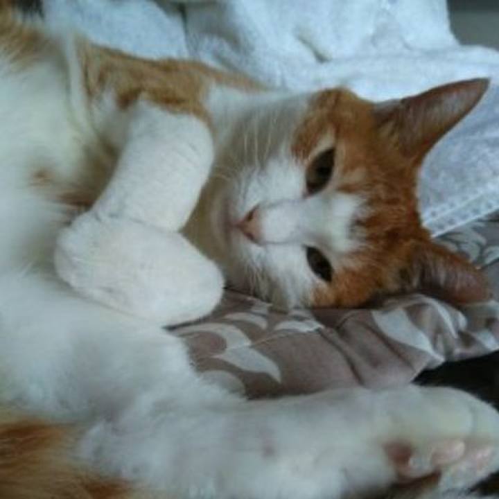 A2bb2b17 8b4b 44d1 8e76 867359a0119e 1547464346526