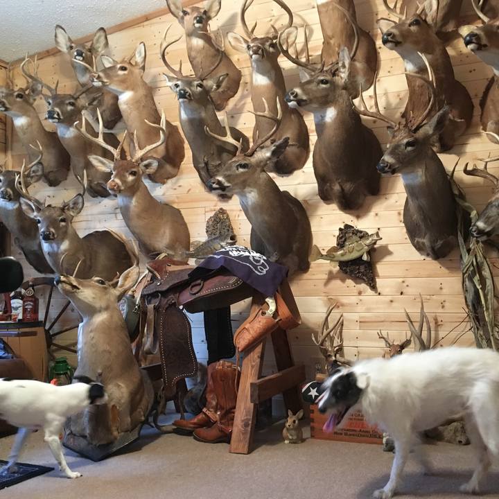 A2bb2e79 95f0 44b8 921e bac069b5d838 1511569972539