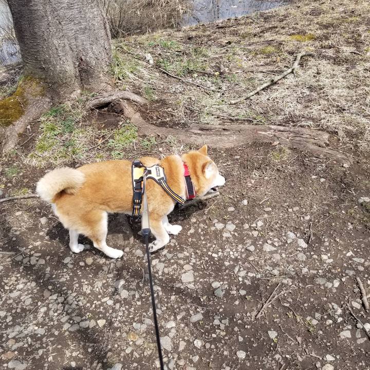 A2bb6df1 ff9a 4b12 9b17 7d68374bc565 1711763808844