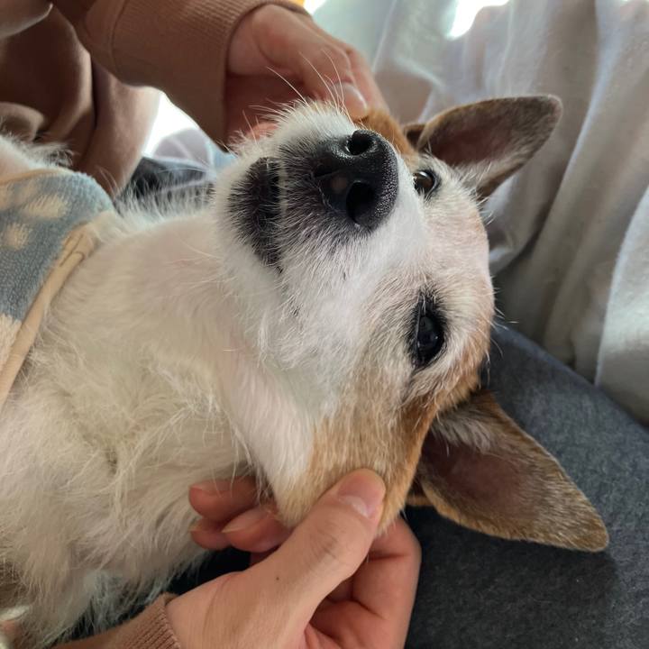 A2bba82f 4684 4779 9274 f9850b189f23 1734477650731