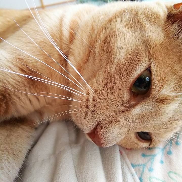 A2bbba14 d8c5 46e6 8e5c 1478a5f453a3 1563923052581